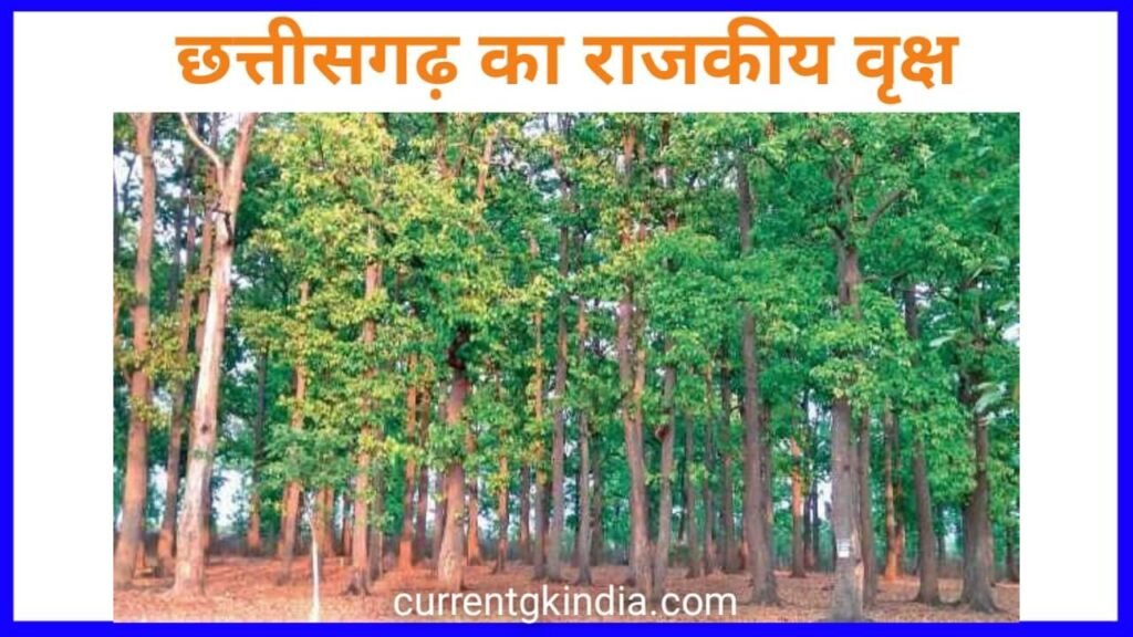 छत्तीसगढ़ का राजकीय प्रतीक चिन्ह 2026 || Chhattisgarh Ke Rajkiya Cg ...