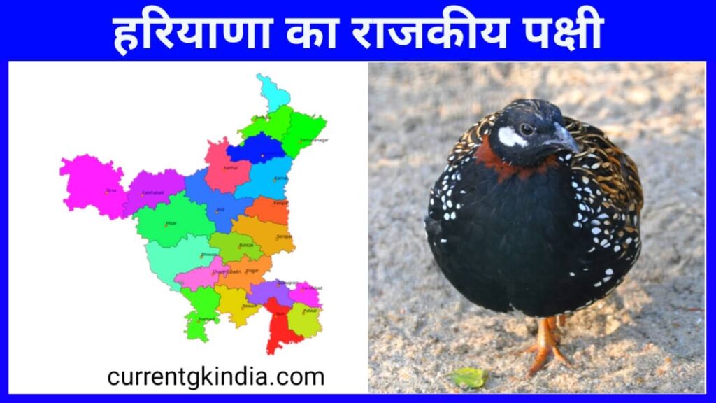 Haryana Ka Rajkiya Pakshi
State Bird Of Haryana
हरियाणा का राजकीय पक्षी