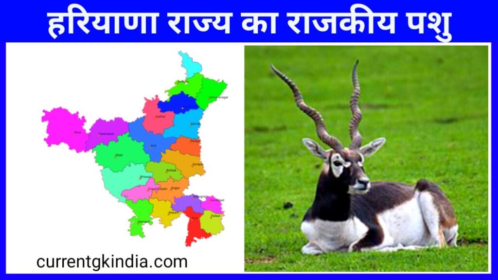 हरियाणा के राजकीय प्रतीक चिन्ह || Haryana Ke Rajkiya Pratik Chinh » Current  Gk India