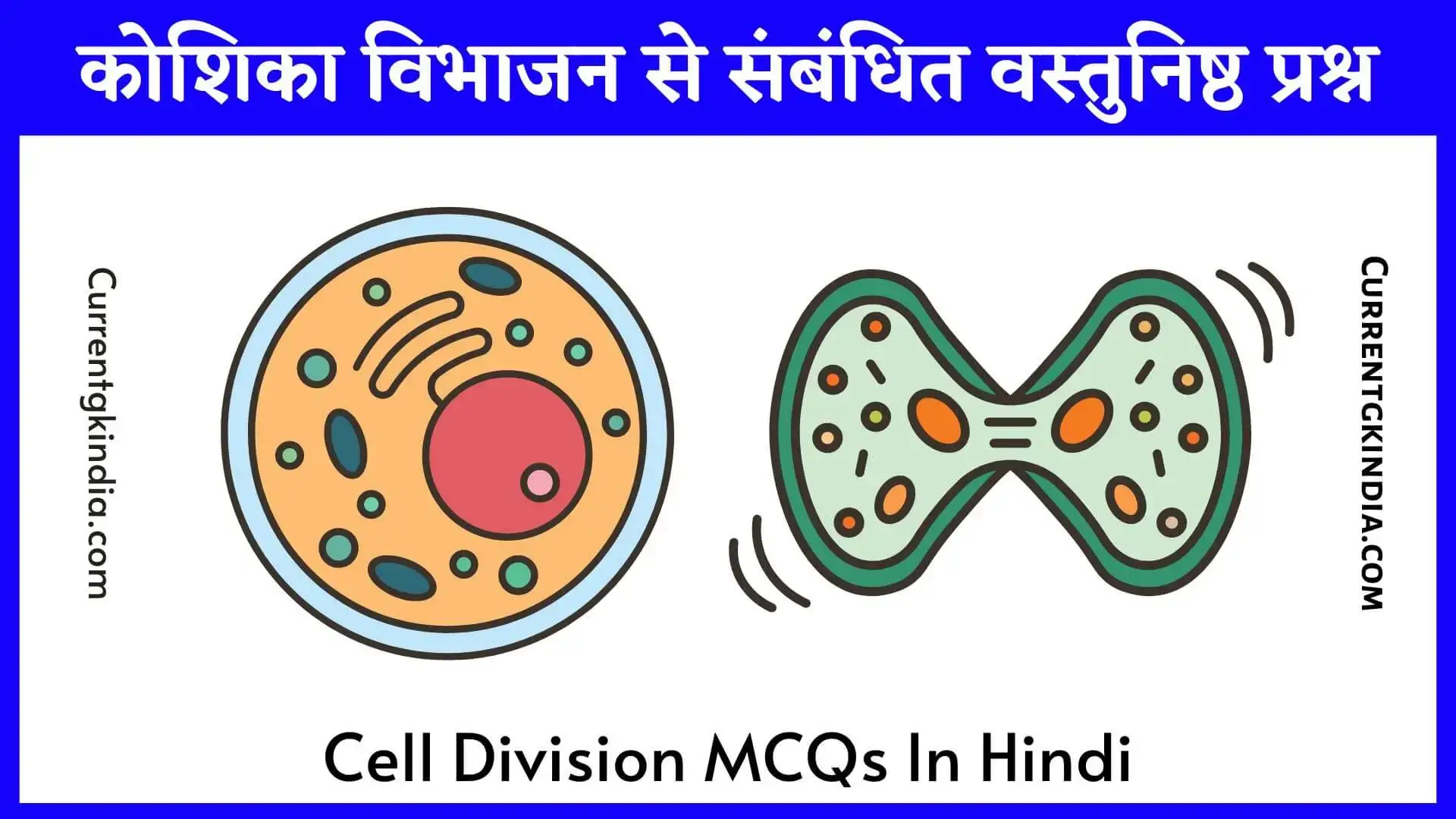 Cell Division MCQs In Hindi कोशिका विभाजन से संबंधित वस्तुनिष्ठ प्रश्न