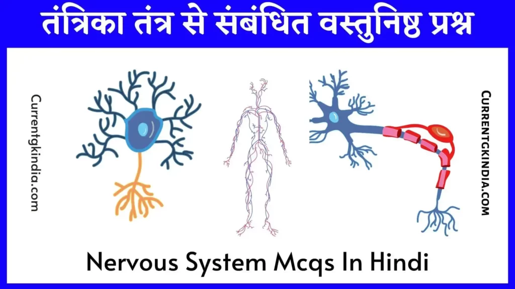 तंत्रिका तंत्र से संबंधित वस्तुनिष्ठ प्रश्न
Nervous System Mcqs In Hindi
