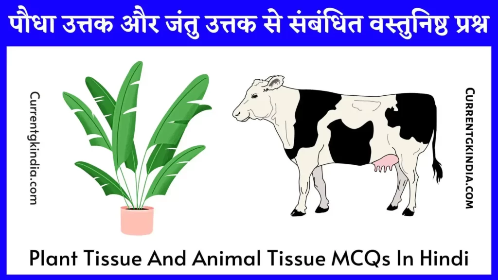 Plant Tissue And Animal Tissue MCQs In Hindi 
पौधा उत्तक और जंतु उत्तक से संबंधित वस्तुनिष्ठ प्रश्न