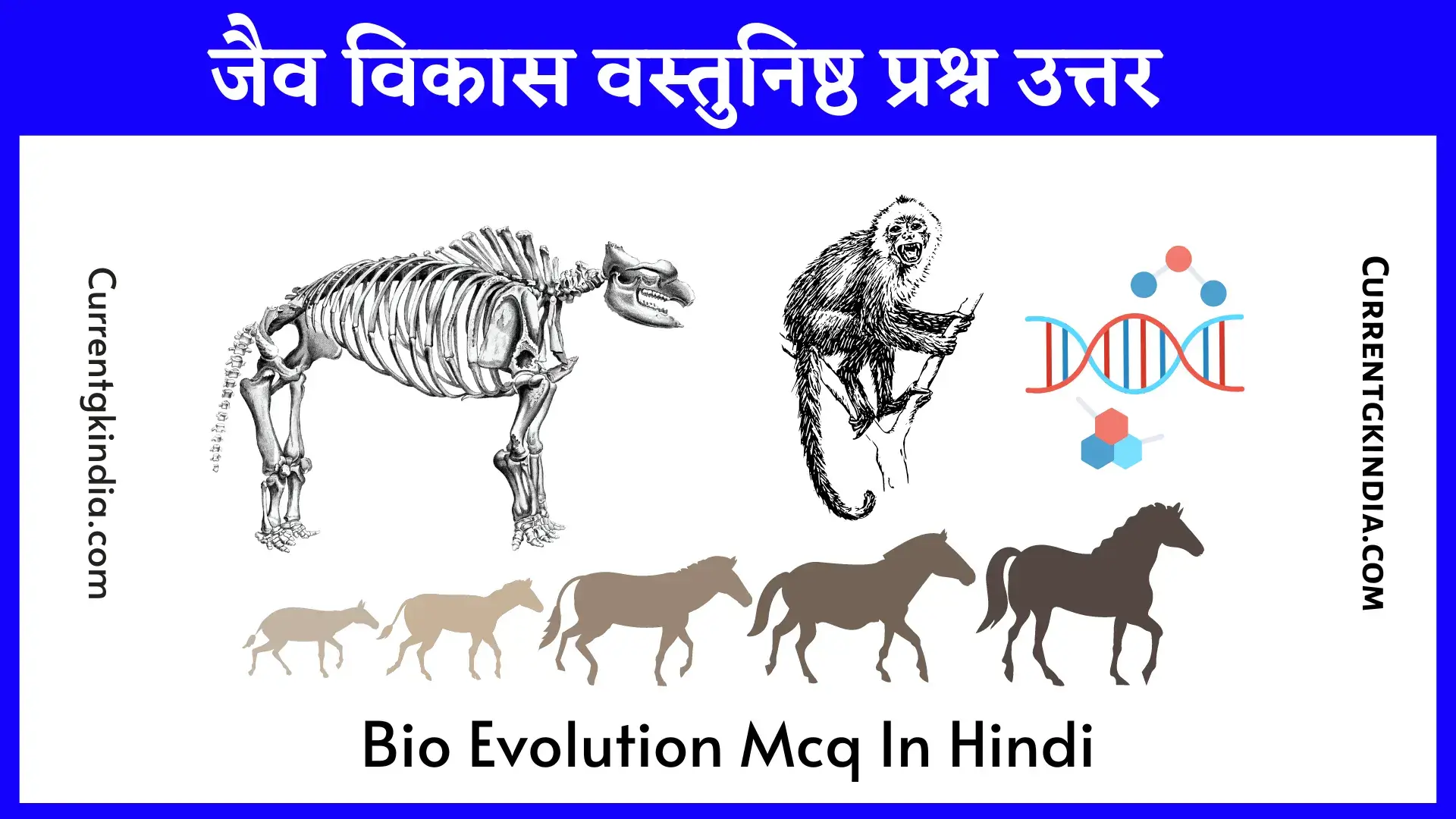 Bio Evolution Mcq In Hindi जैव विकास वस्तुनिष्ठ प्रश्न उत्तर