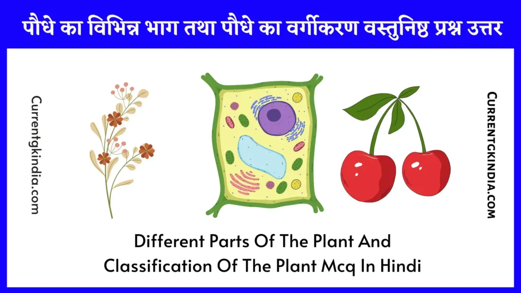 Different Parts Of The Plant And Classification Of The Plant Mcq In Hindi