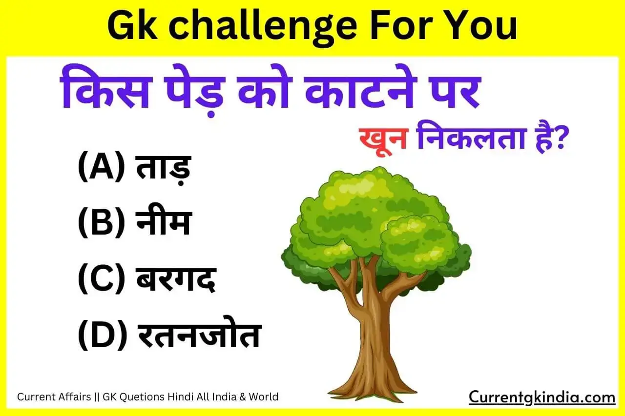 Kis Ped Ko Katne Par Khun Nikalta Hai Interesting Gk Questions किस पेड़ को काटने पर खून निकलता है?