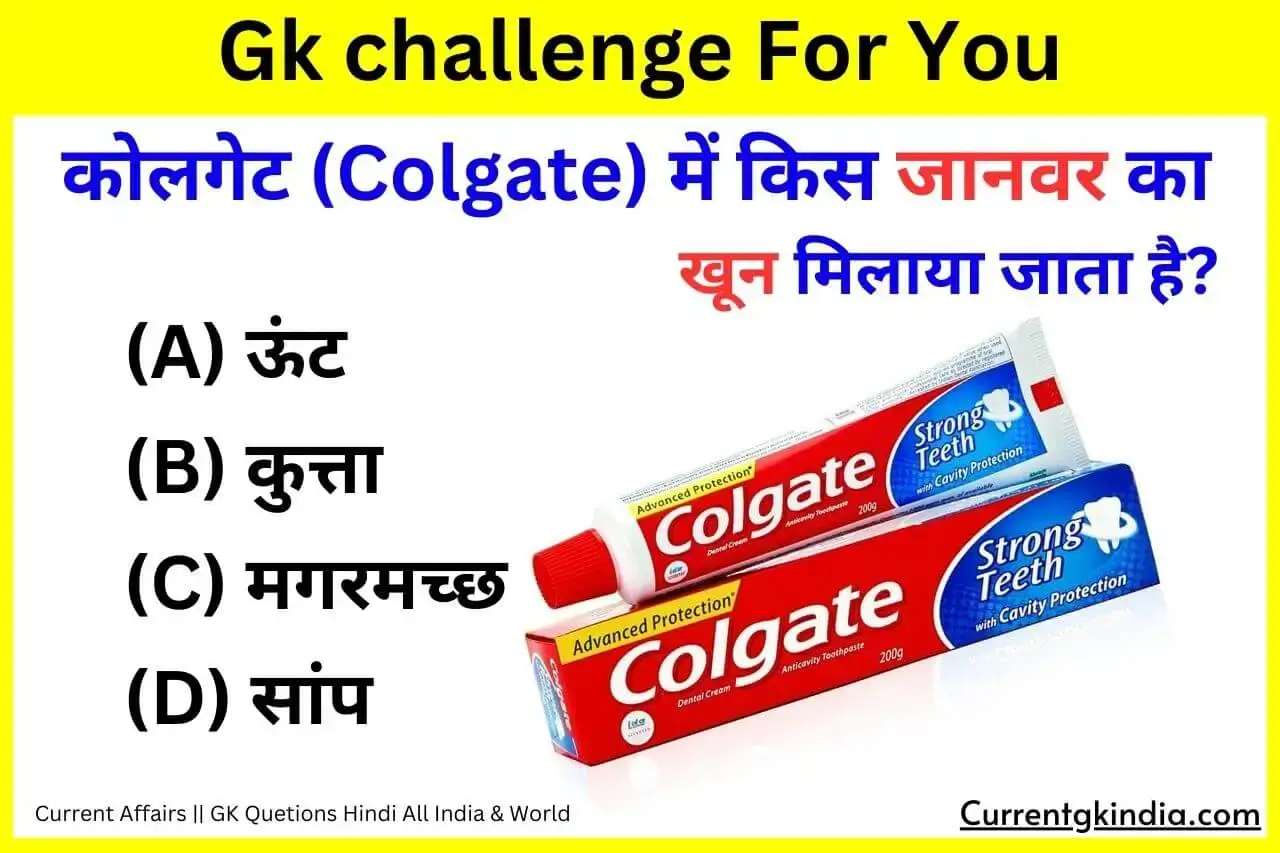 Interesting Gk Questions कोलगेट (Colgate) में किस जानवर का खून मिलाया जाता है?