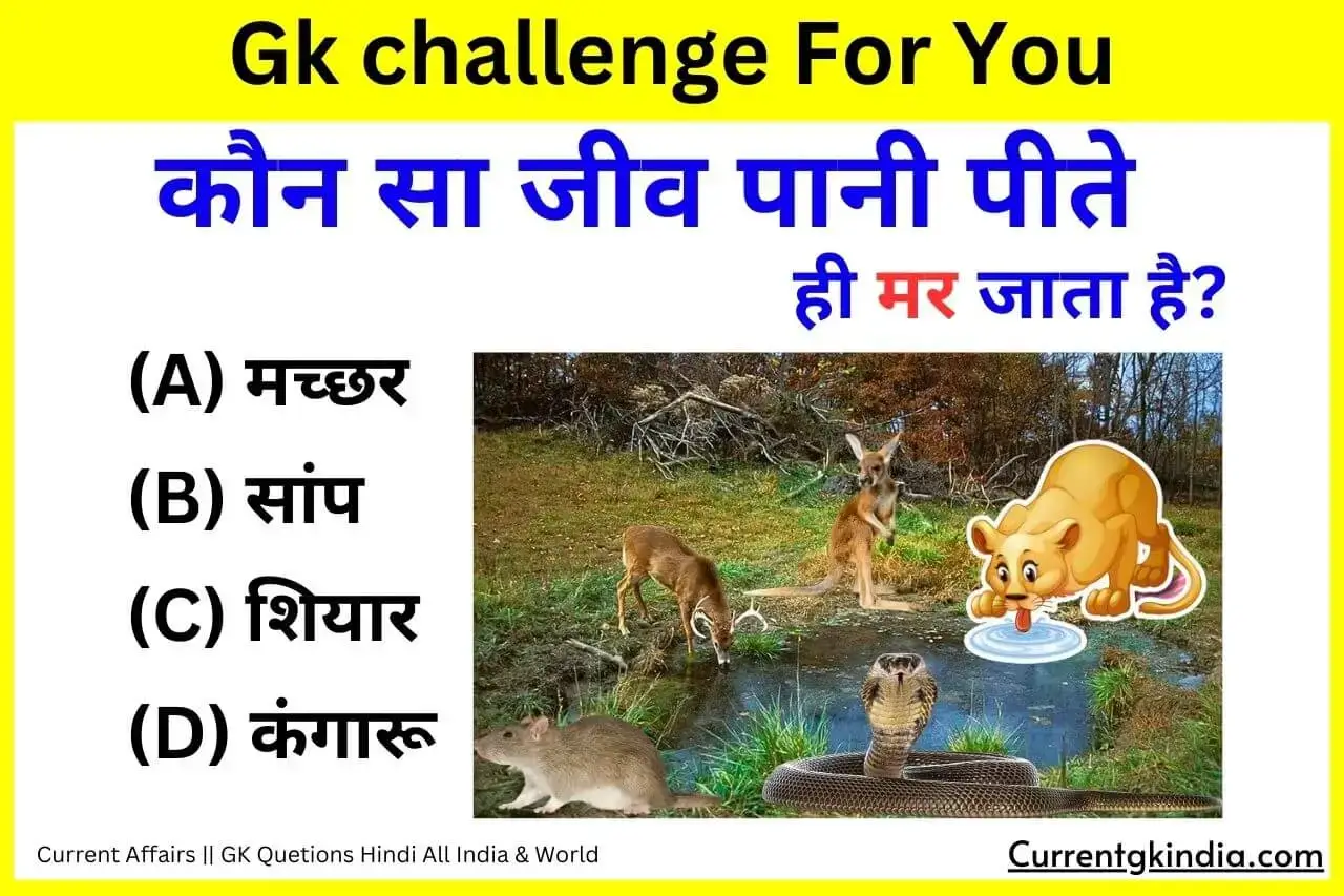 Konsa Jeev Pani Pite Hi Mar Jata Hai Interesting Gk Questions भारत का राष्ट्रीय भोजन क्या है?