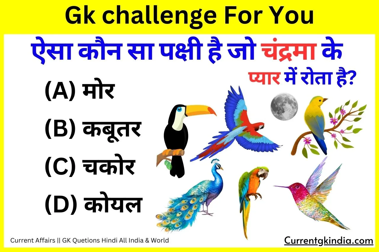 Konsa Pakshi Chandrama Ke Pyar Me Rota Hai Interesting Gk Questions ऐसा कौन सा पक्षी है जो चंद्रमा के प्यार में रोता है?