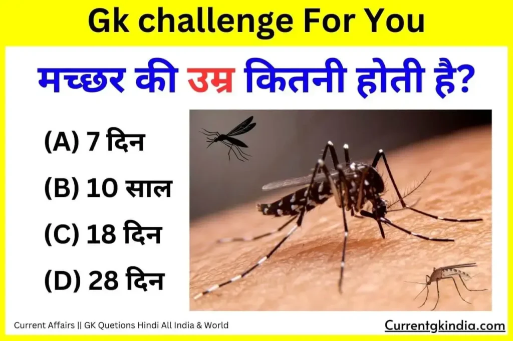 Machhar Ki Umar Kitni Hoti Hai 
Interesting Gk Questions
मच्छर की उम्र कितनी होती है?