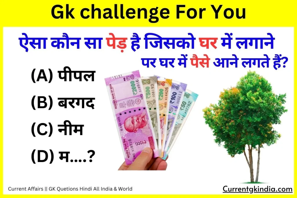Ped Ghar Paise Interesting Gk Questions
Interesting Gk Questions
ऐसा कौन सा पेड़ है जिसको घर में लगाने पर घर में पैसे आने लगते हैं?