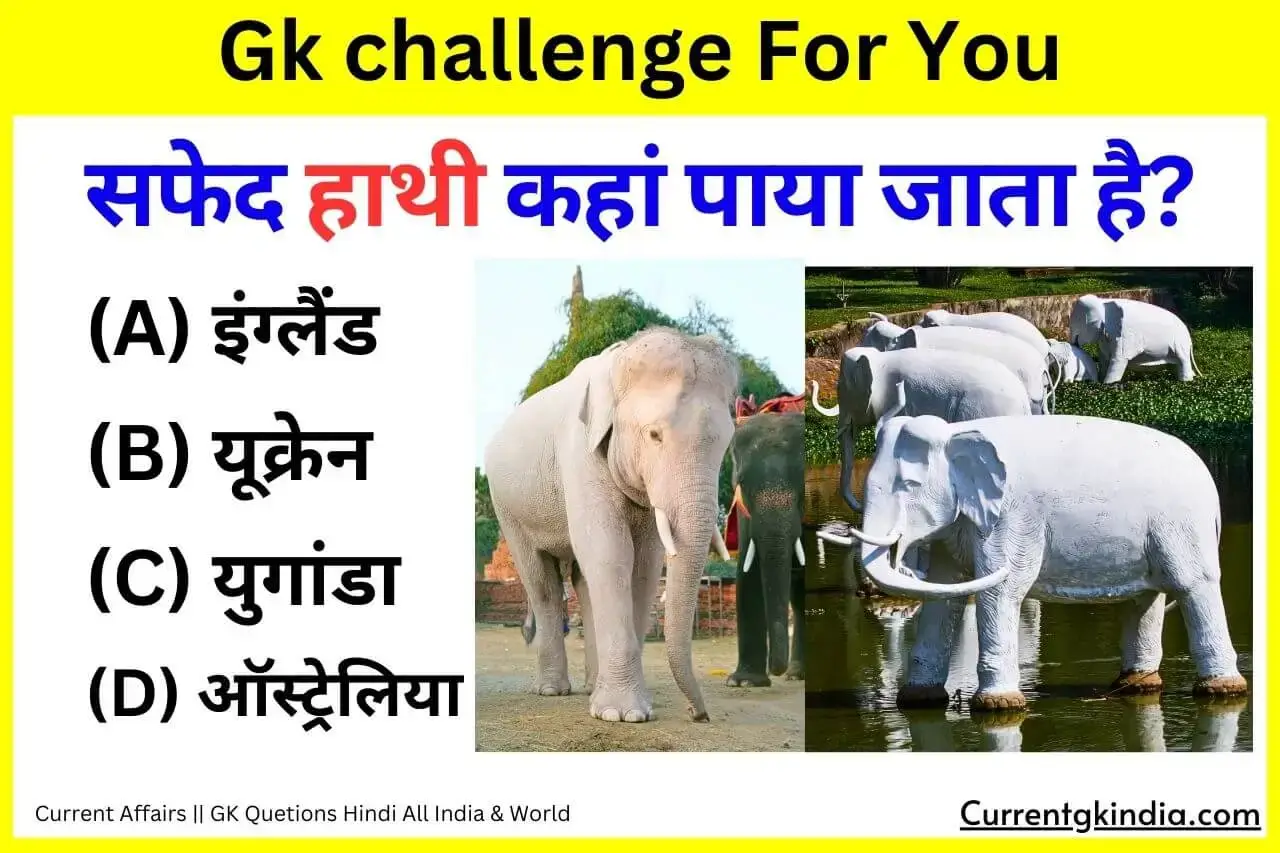 सफेद हाथी कहां पाया जाता है? Safed Hathi Kaha Paya Jata Hai Interesting Gk Questions