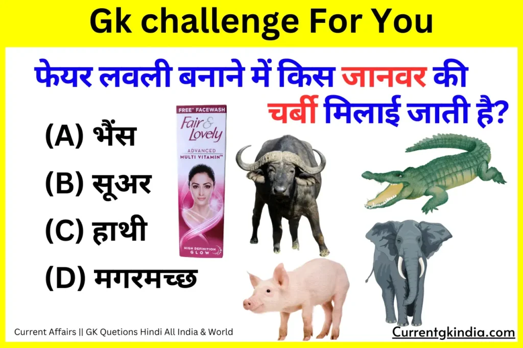 Fair Lovely Me Kis Janwar Ki Charbi Hoti Hai
फेयर लवली बनाने में किस जानवर की चर्बी मिलाई जाती है?
Interesting Gk Questions